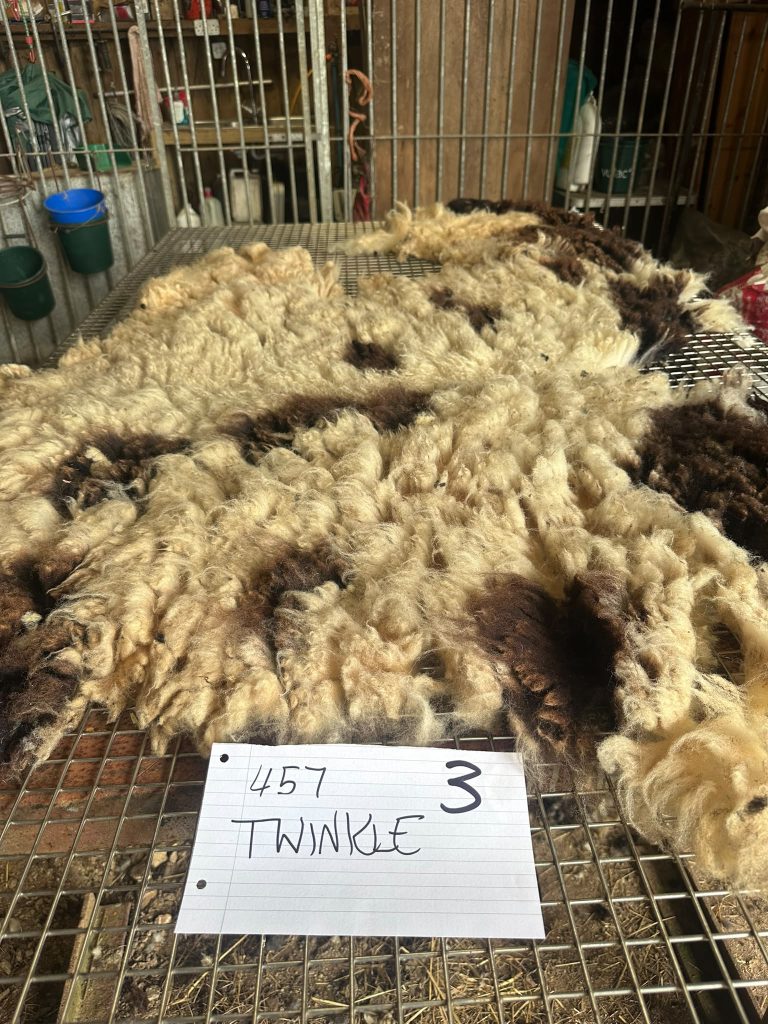 fleeces