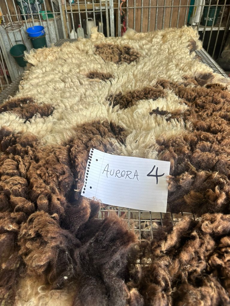 fleeces