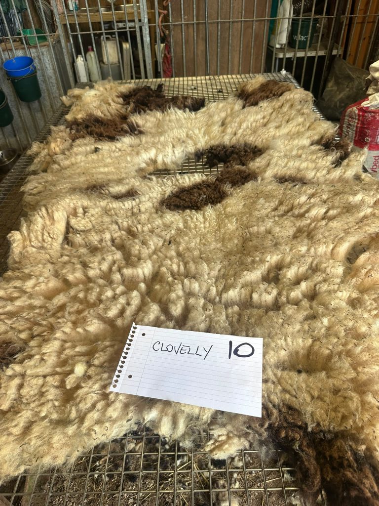 fleeces