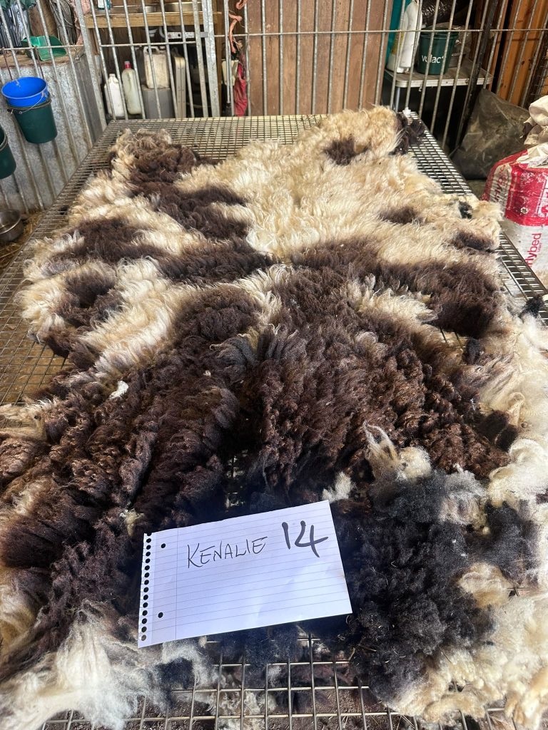 fleeces