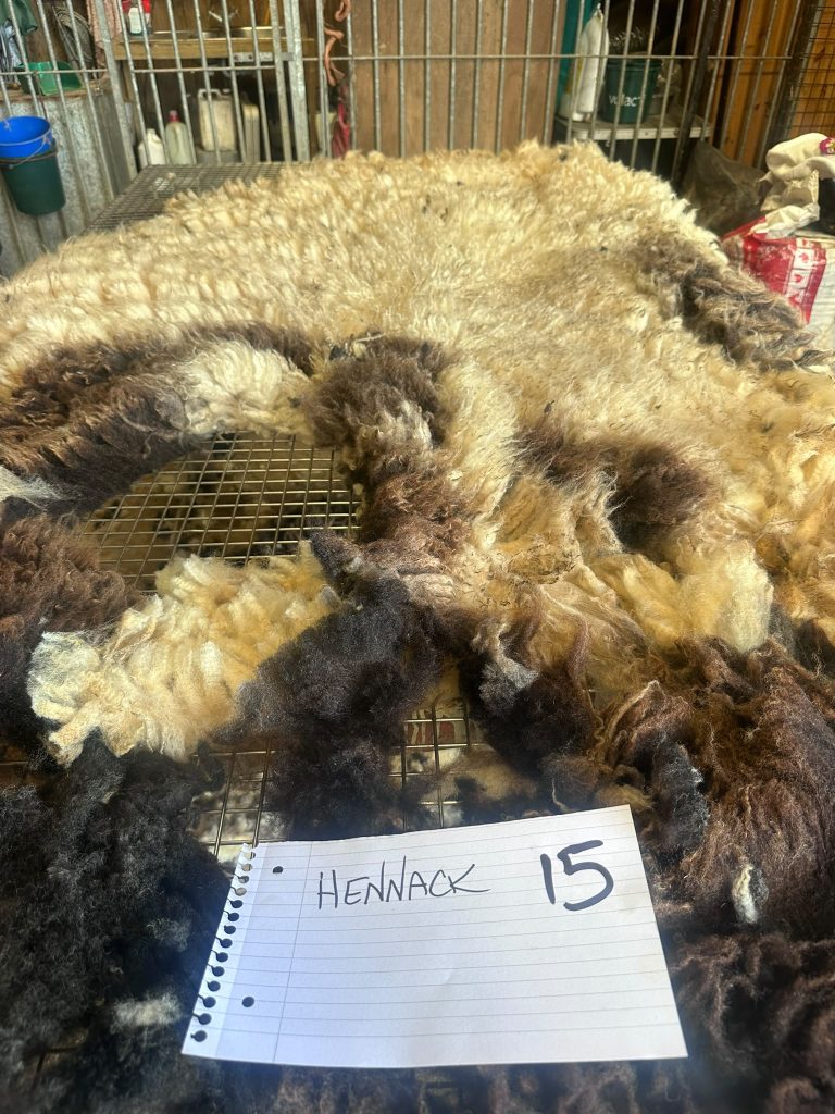 fleeces