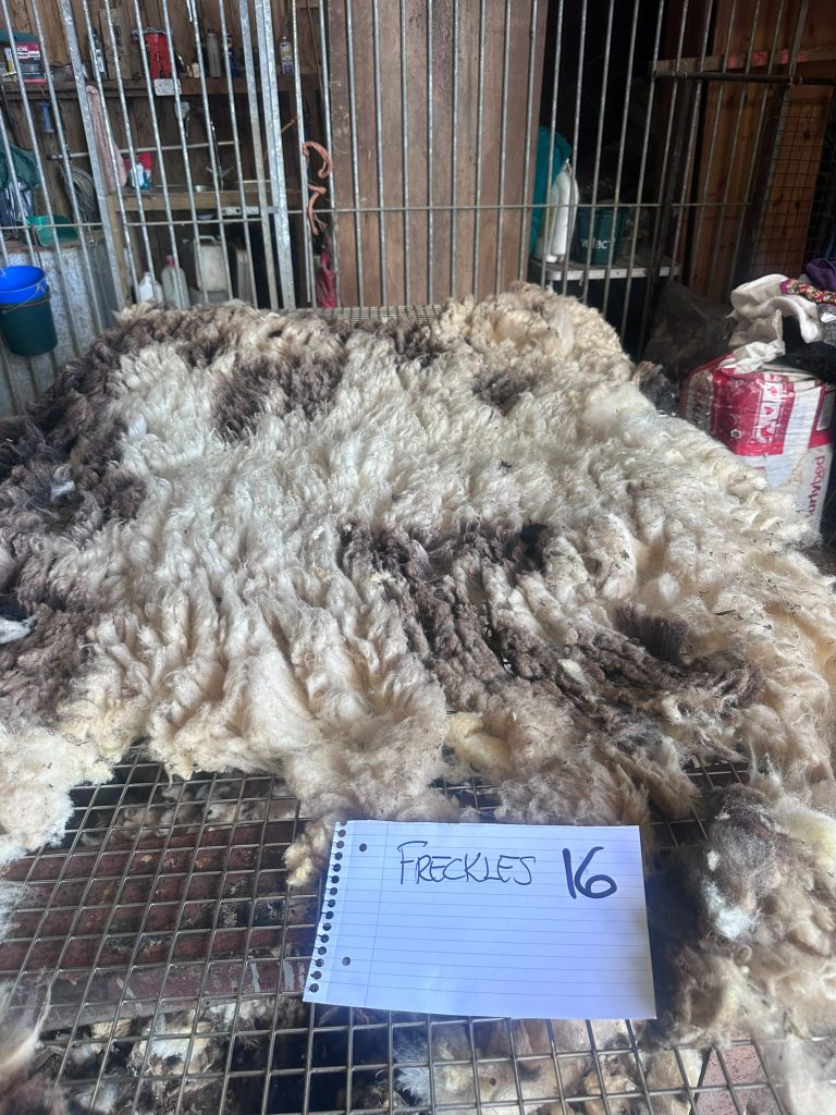 fleeces