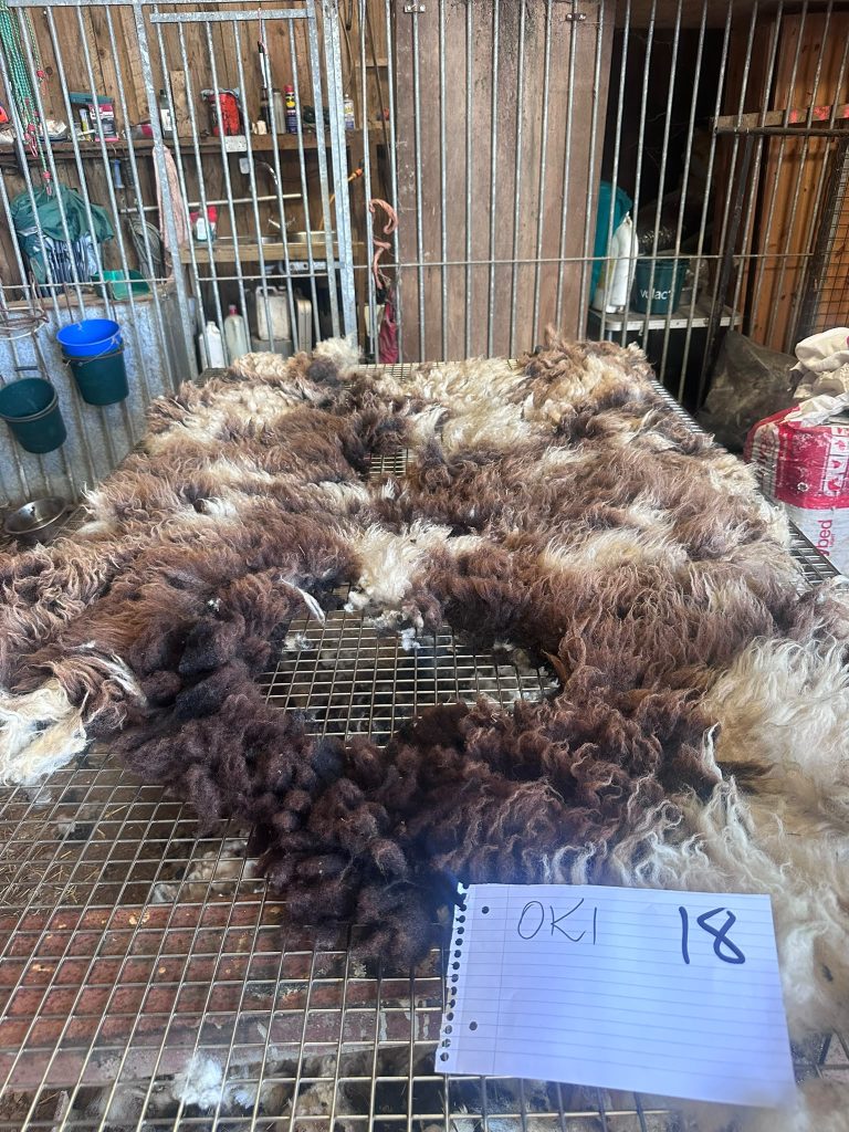 fleeces