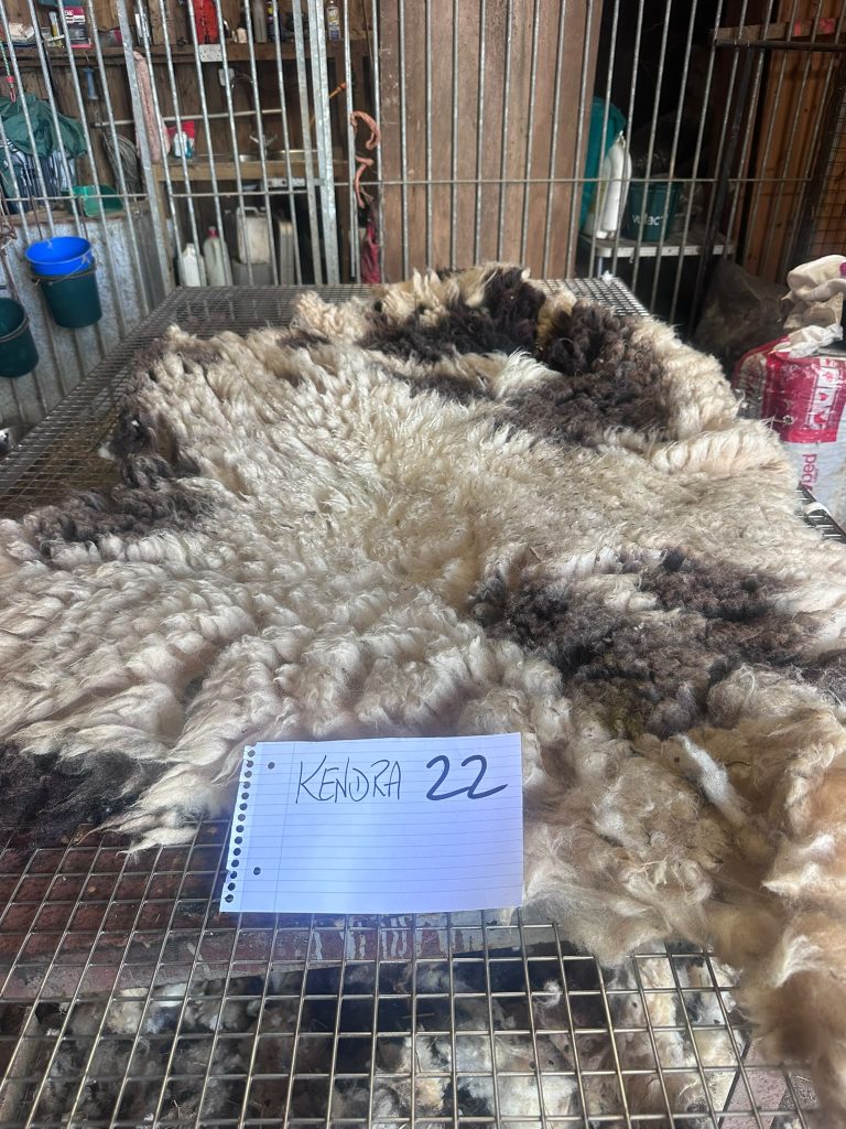 fleeces