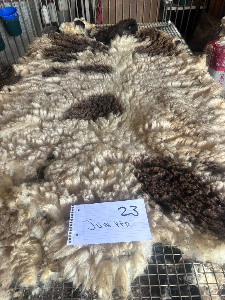 fleeces