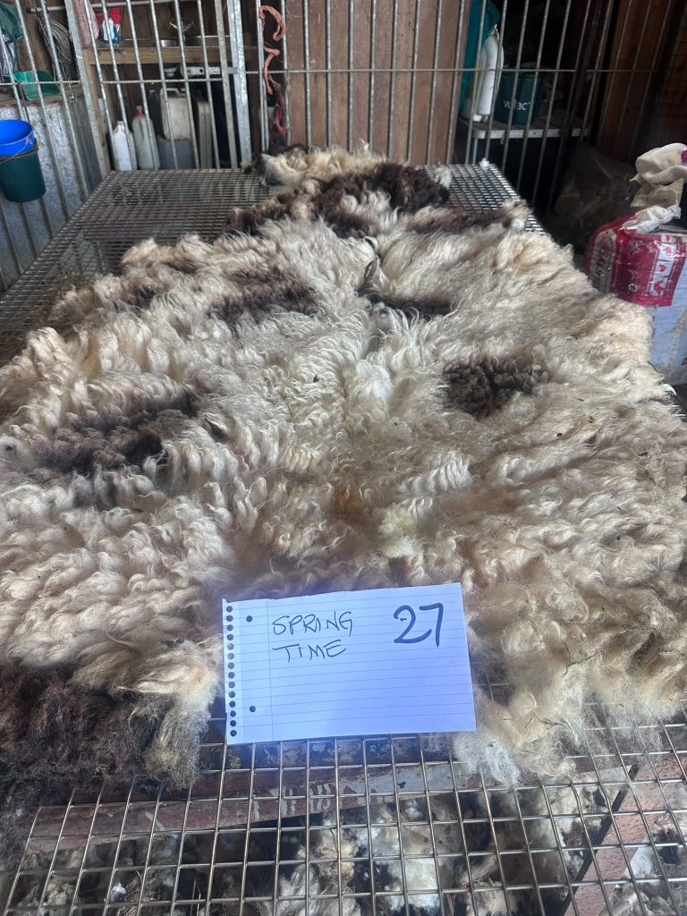 fleeces