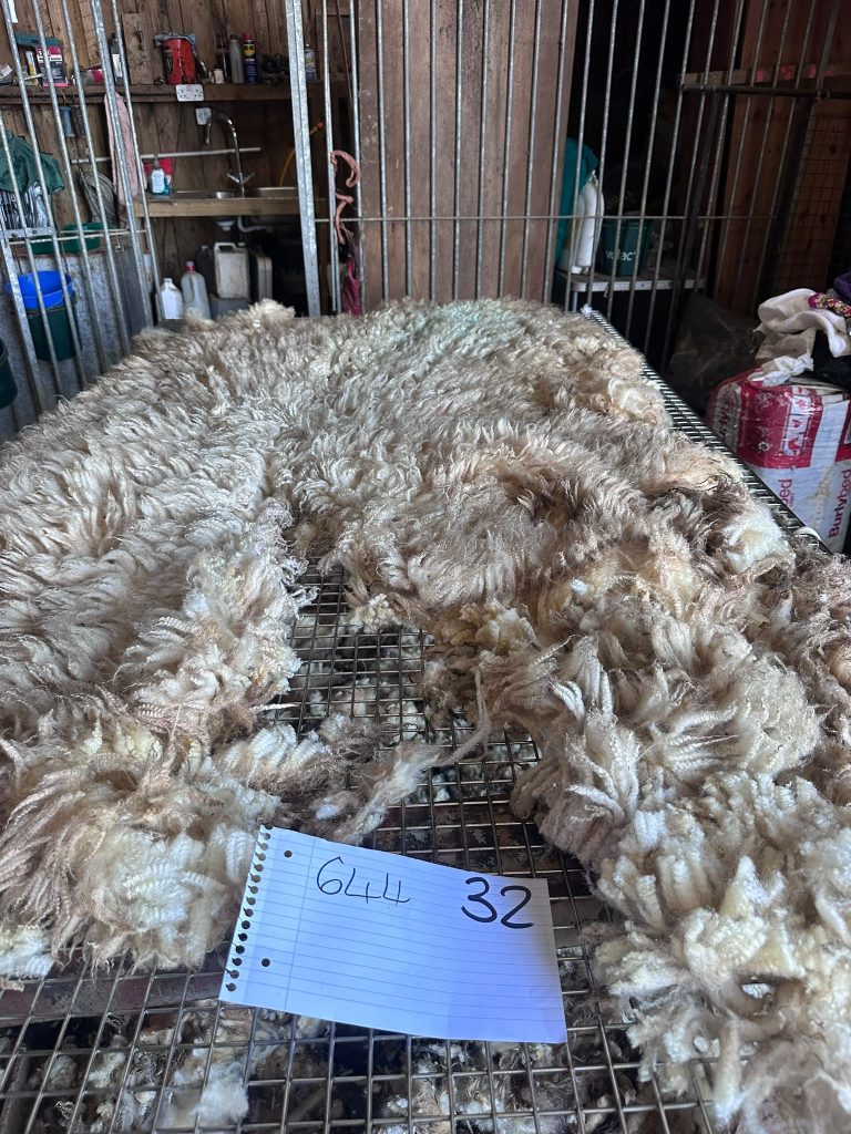 fleeces