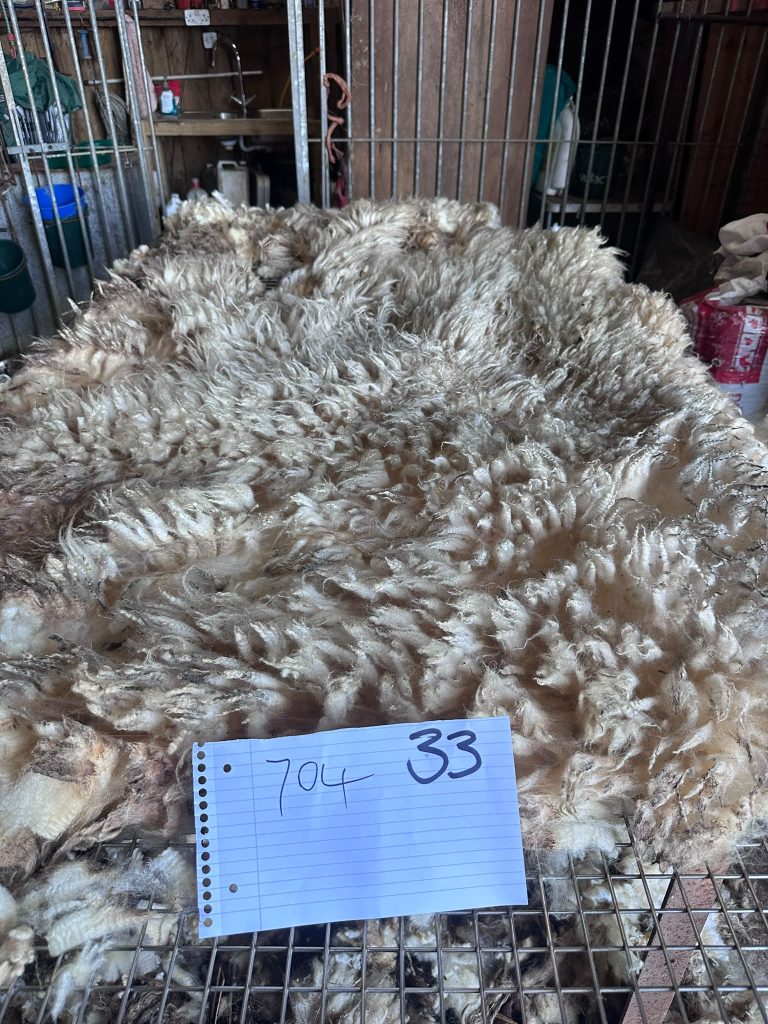 fleeces