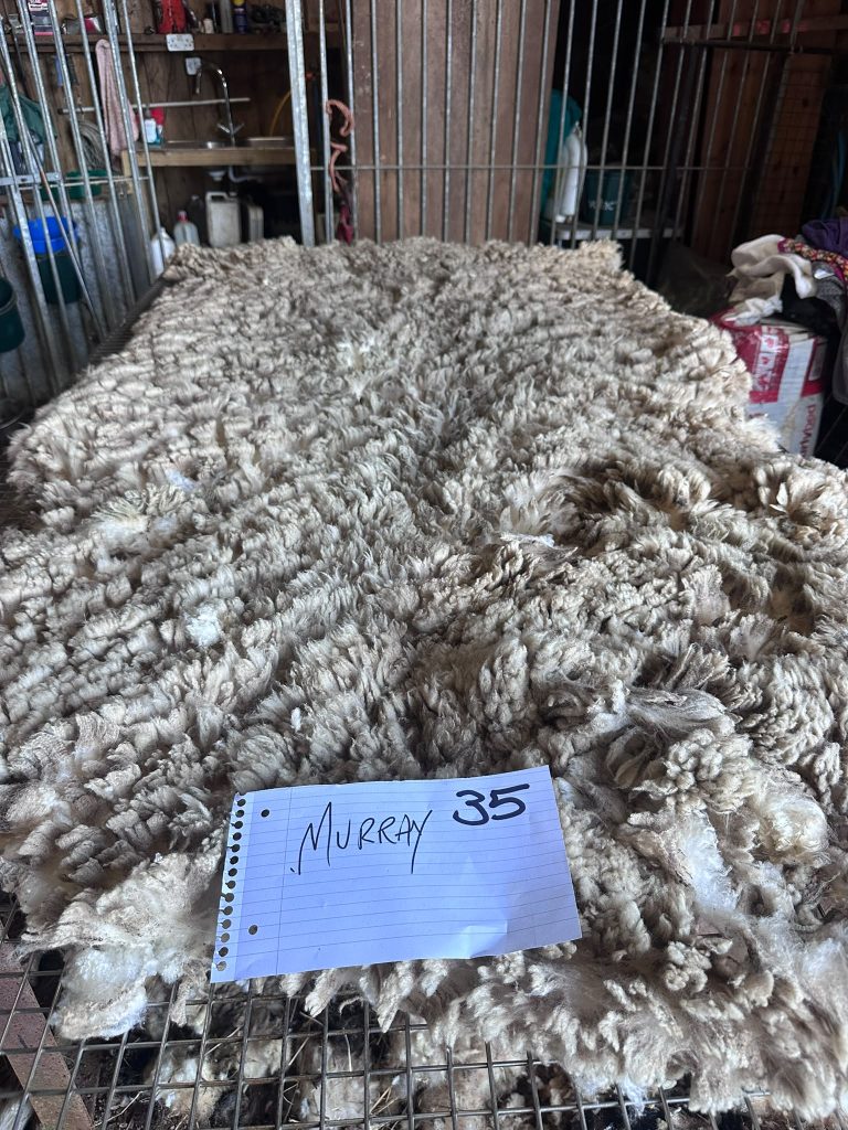 fleeces