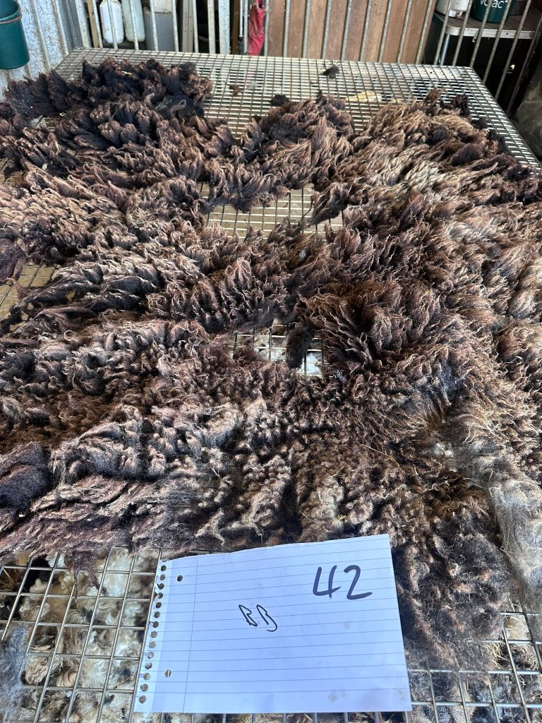fleeces