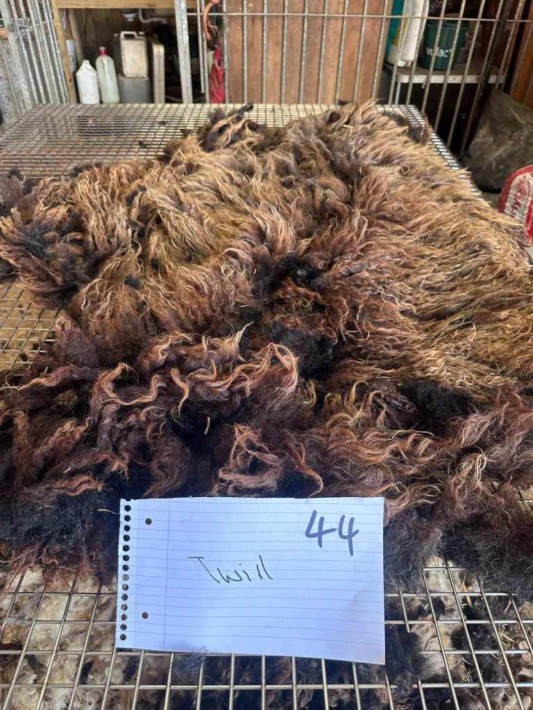fleeces