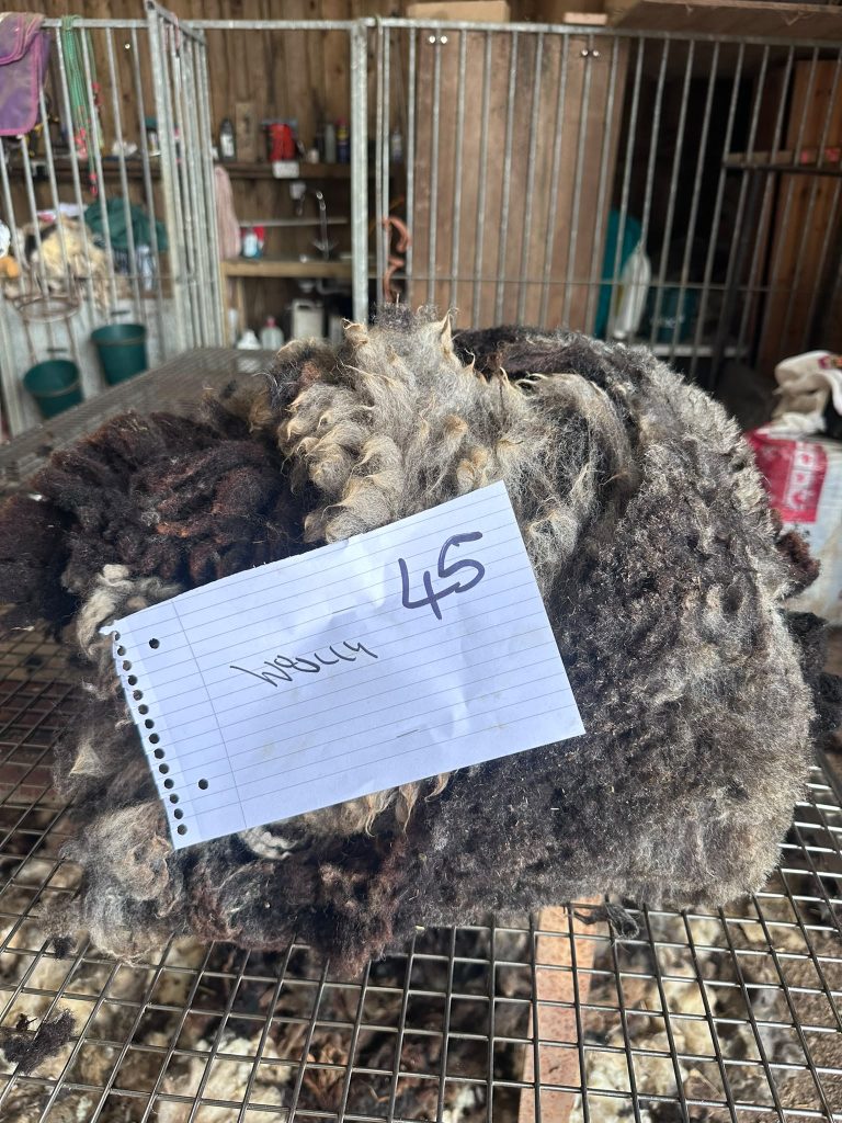 fleeces