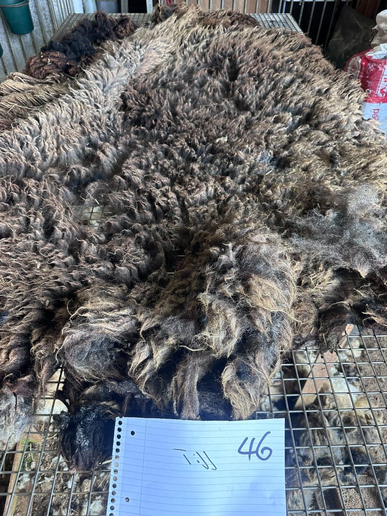 fleeces
