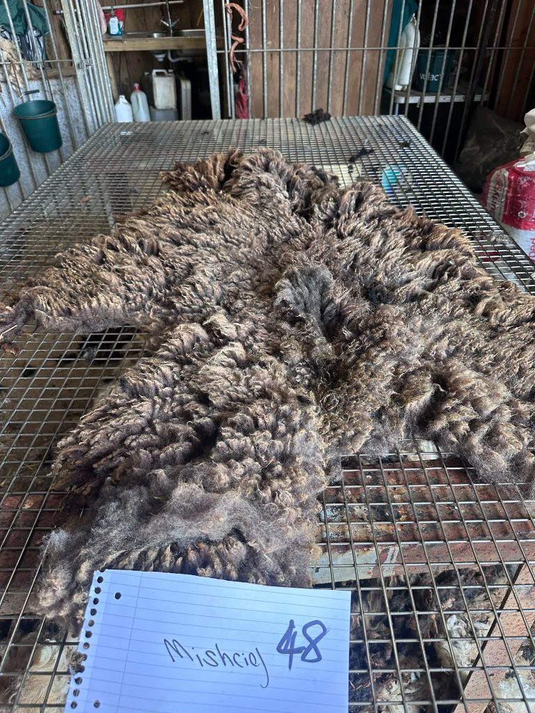 fleeces