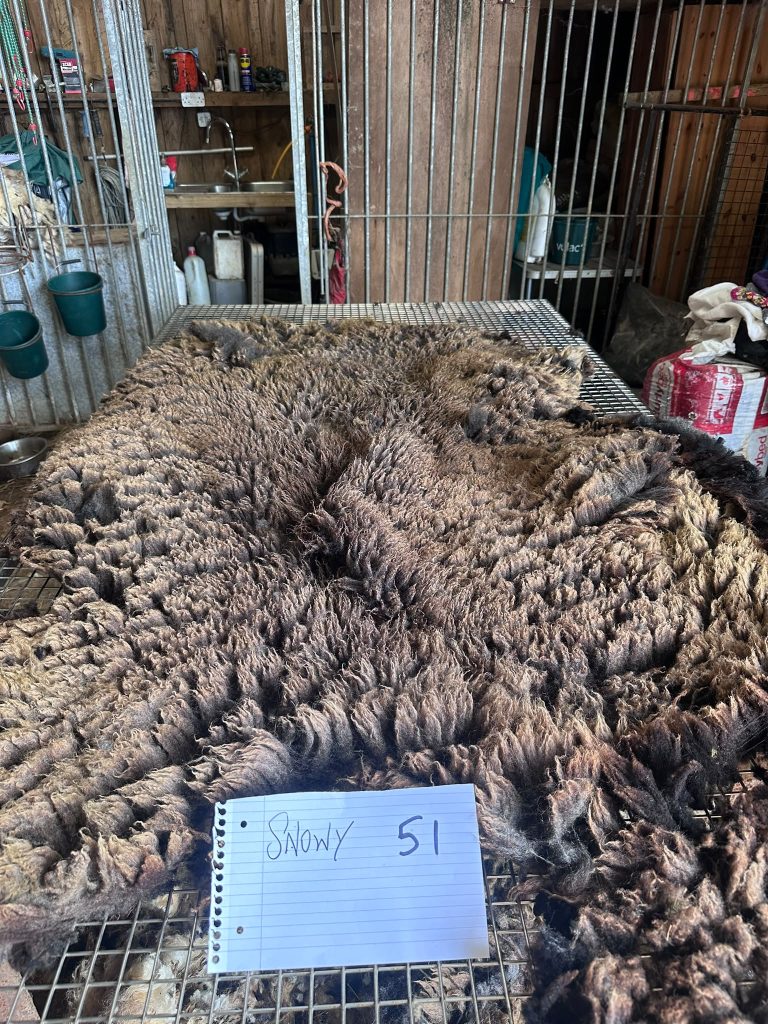 fleeces
