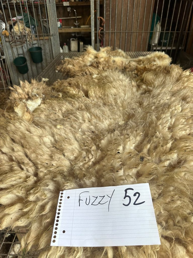fleeces