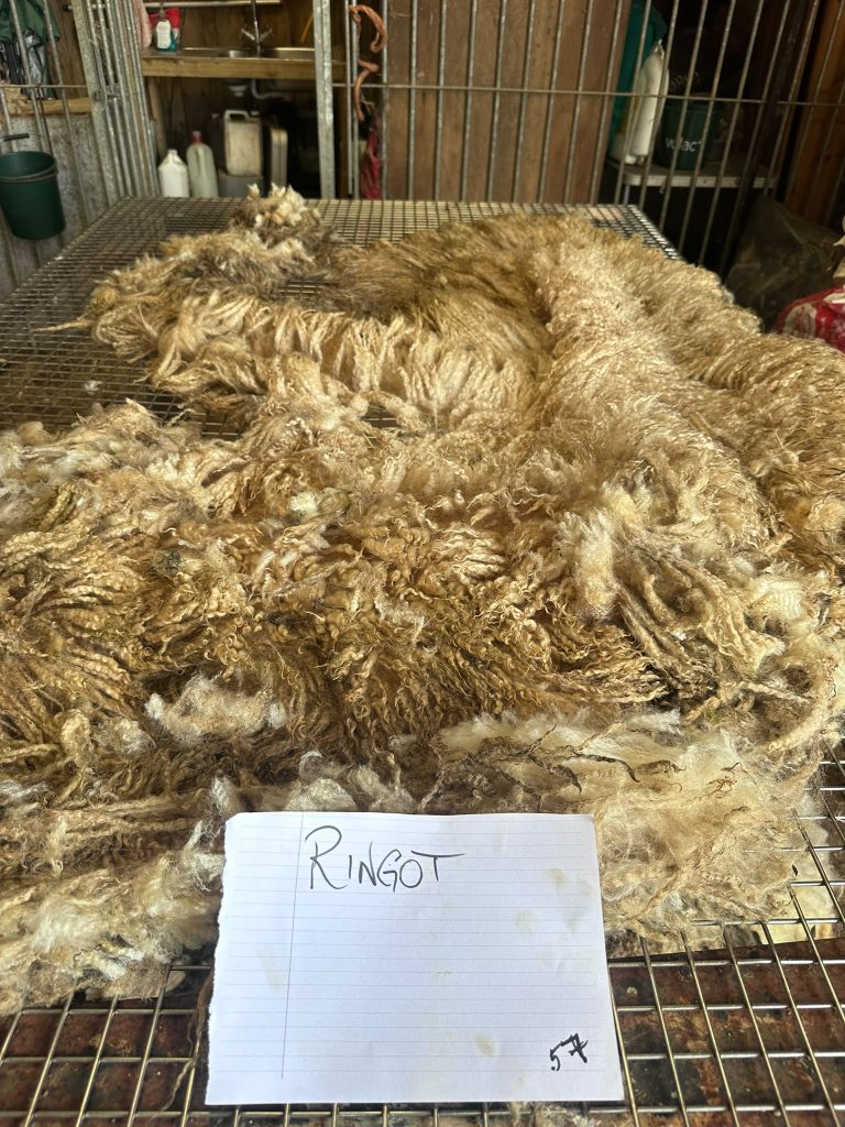 fleeces