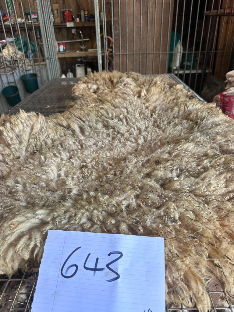 fleeces