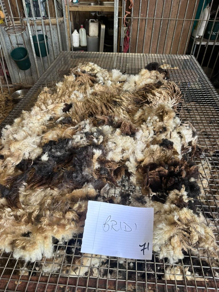 Jacob Fleece
